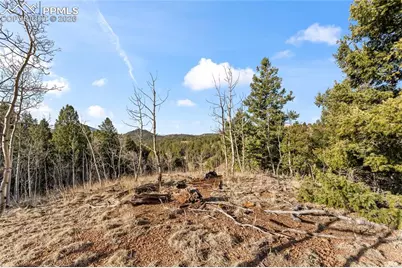 728 Little Topsey Drive, Cripple Creek, CO 80813 - Photo 18