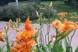 210 Mesa Ave, Manitou Springs, CO 80829 - Photo 42