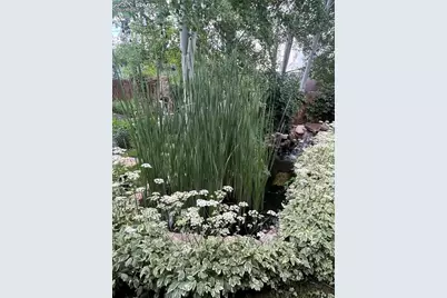 210 Mesa Avenue, Manitou Springs, CO 80829 - Photo 44