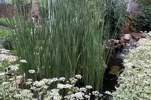 210 Mesa Ave, Manitou Springs, CO 80829 - Photo 44