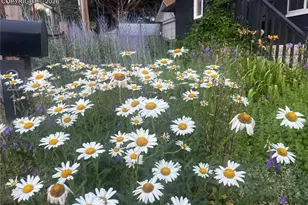 210 Mesa Ave, Manitou Springs, CO 80829 - Photo 38