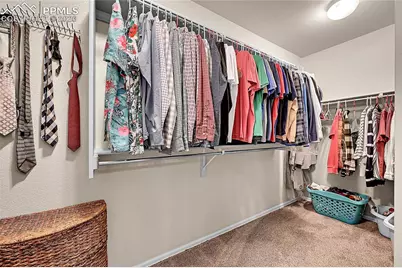 514 Coyote Willow Drive, Colorado Springs, CO 80921 - Photo 20