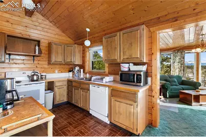 730 Cheyenne Creek Drive, Lake George, CO 80827 - Photo 14