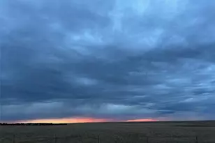 37155 E Jones Rd, Yoder, CO 80864 - Photo 44