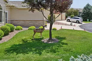 6240 Viewfield Heights, Colorado Springs, CO 80919 - Photo 4