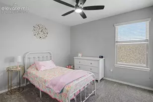 12663 Handles Peak Way, Peyton, CO 80831 - Photo 22