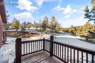 1001 E Bison Creek Trail, Divide, CO 80814 - Photo 40