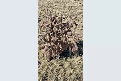 6710 Firebrand View, Fountain, CO 80817 - Photo 2