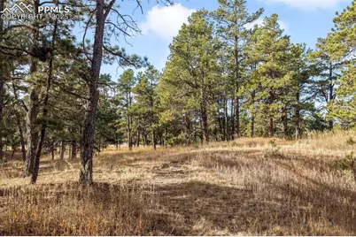 18230 Cumbres Court, Peyton, CO 80831 - Photo 32