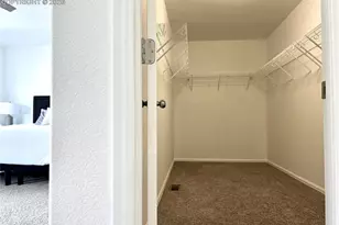 7613 Sand Lake Heights, Colorado Springs, CO 80908 - Photo 26