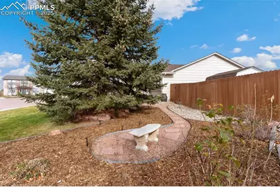 565 Camrose Court, Colorado Springs, CO 80911 - Photo 4