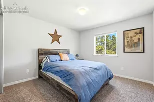 10446 Odin Dr, Colorado Springs, CO 80924 - Photo 22