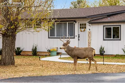 43 S Valley Road, Palmer Lake, CO 80133 - Photo 4