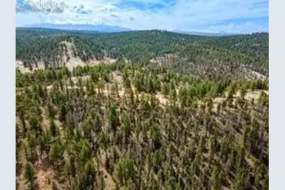 93 Kiowa Creek Trail, Florissant, CO 80816 - Photo 6