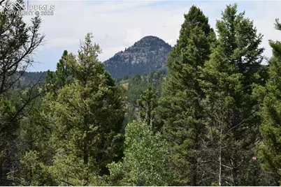 93 Kiowa Creek Trail, Florissant, CO 80816 - Photo 2