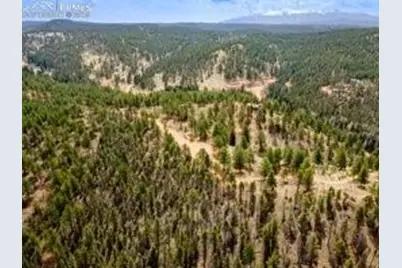 93 Kiowa Creek Trail, Florissant, CO 80816 - Photo 4