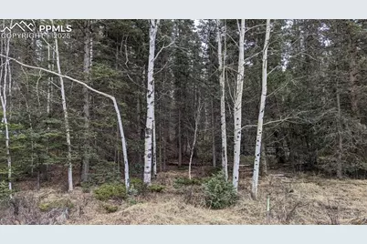 93 Kiowa Creek Trail, Florissant, CO 80816 - Photo 10