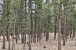 480 Blue Mountain Dr, Florissant, CO 80816 - Photo 2