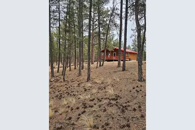 480 Blue Mountain Drive, Florissant, CO 80816 - Photo 1