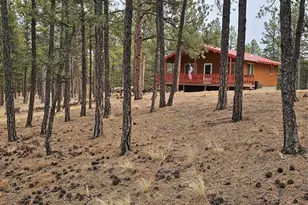 480 Blue Mountain Dr, Florissant, CO 80816 - Photo 1