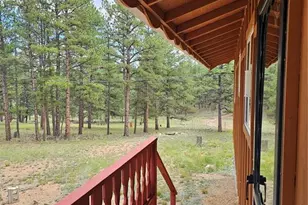 480 Blue Mountain Dr, Florissant, CO 80816 - Photo 14