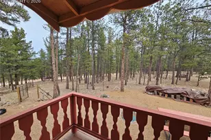 480 Blue Mountain Dr, Florissant, CO 80816 - Photo 12