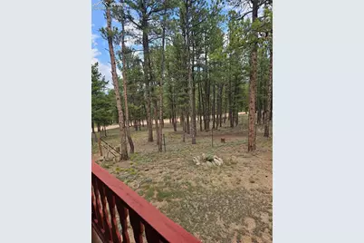 480 Blue Mountain Drive, Florissant, CO 80816 - Photo 16