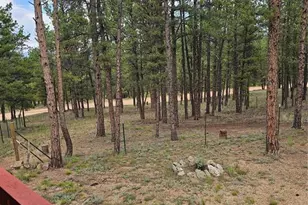 480 Blue Mountain Dr, Florissant, CO 80816 - Photo 16