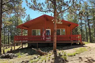 480 Blue Mountain Dr, Florissant, CO 80816 - Photo 16