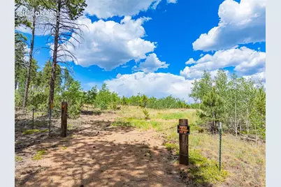 Unit 2 County Road 51, Florissant, CO 80816 - Photo 2