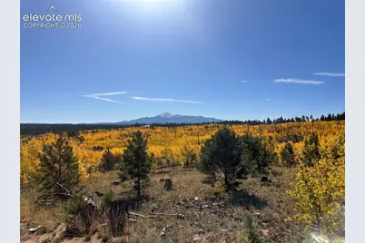 Unit 2 County Road 51, Florissant, CO 80816 - Photo 12