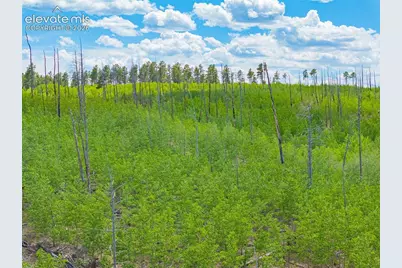 Unit 2 County Road 51, Florissant, CO 80816 - Photo 40