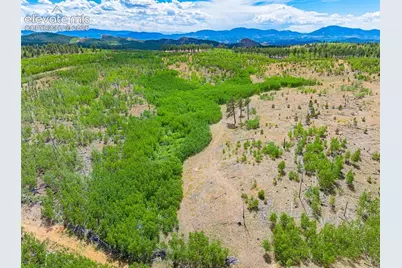 Unit 2 County Road 51, Florissant, CO 80816 - Photo 22