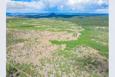 Unit 2 County Road 51, Florissant, CO 80816 - Photo 8