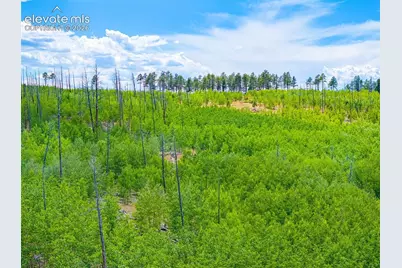Unit 2 County Road 51, Florissant, CO 80816 - Photo 24