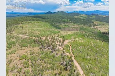 Unit 2 County Road 51, Florissant, CO 80816 - Photo 42