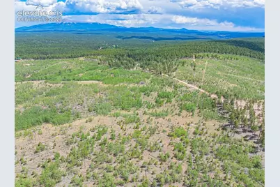 Unit 2 County Road 51, Florissant, CO 80816 - Photo 6