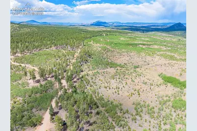Unit 2 County Road 51, Florissant, CO 80816 - Photo 10