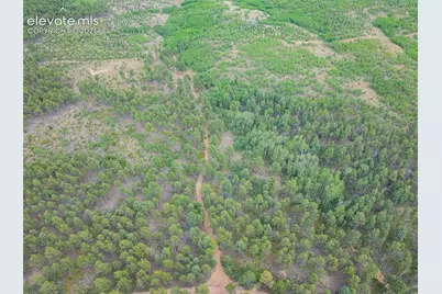 Unit 2 County Road 51, Florissant, CO 80816 - Photo 38