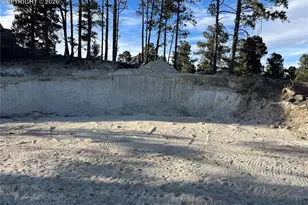 19942 Chisholm Trail, Monument, CO 80132 - Photo 8