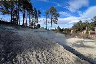 19942 Chisholm Trail, Monument, CO 80132 - Photo 10