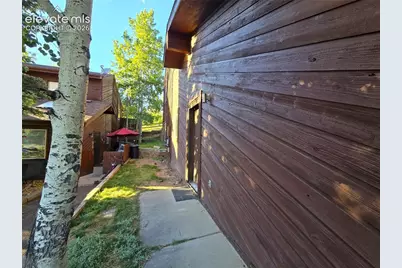 249 E Lake Avenue, Woodland Park, CO 80863 - Photo 20