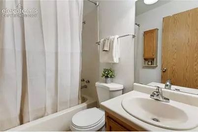 249 E Lake Avenue, Woodland Park, CO 80863 - Photo 8