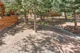 671 Misty Pines Cir, Woodland Park, CO 80863 - Photo 44
