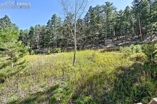 145 Elk Grove Ln, Woodland Park, CO 80863 - Photo 30