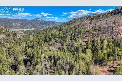 56 Fir Lane, Florissant, CO 80816 - Photo 36