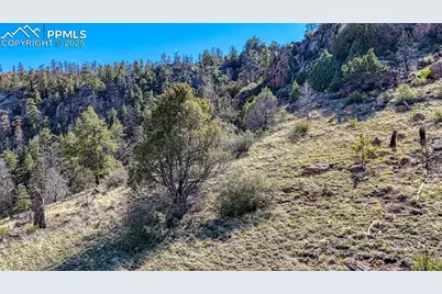 56 Fir Lane, Florissant, CO 80816 - Photo 8