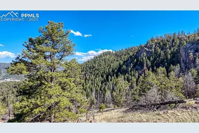 56 Fir Lane, Florissant, CO 80816 - Photo 10