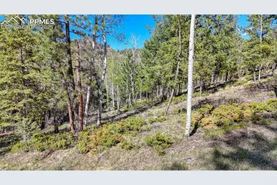 56 Fir Lane, Florissant, CO 80816 - Photo 18