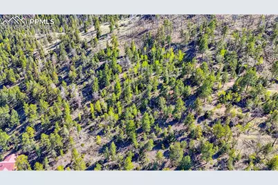 56 Fir Lane, Florissant, CO 80816 - Photo 26